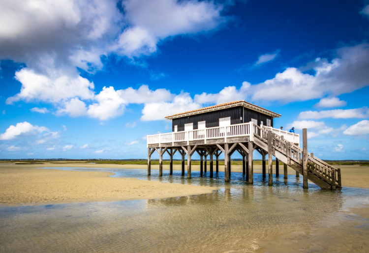 Ophorus Tours - Arcachon & Dune du Pilat Small Group Tour from Bordeaux