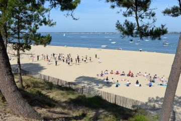 Ophorus Tours - Arcachon & Dune du Pilat Small Group Tour from Bordeaux