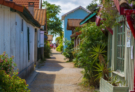Ophorus Tours - Arcachon & Dune du Pilat Day Trip from Bordeaux Small Group Tour
