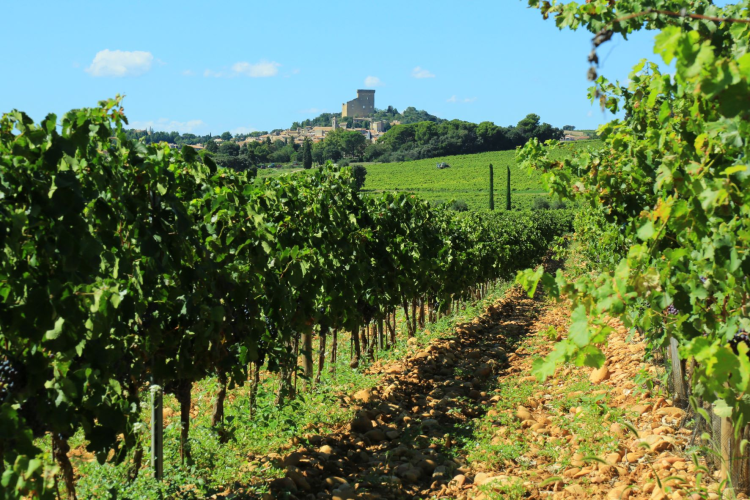 Ophorus Tours - Private Tour to Avignon & Châteauneuf-du-Pape from Marseille