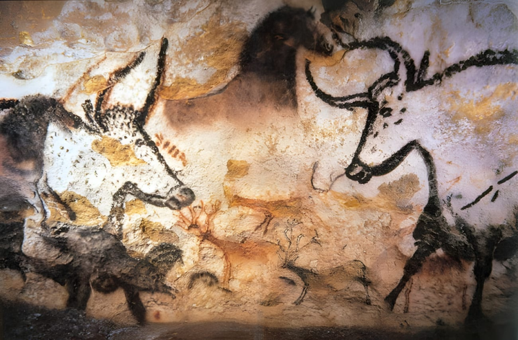 Ophorus Tours - Unveiling Prehistoric Art: Visit Prehistory Museum & Lascaux IV Center Private Tour