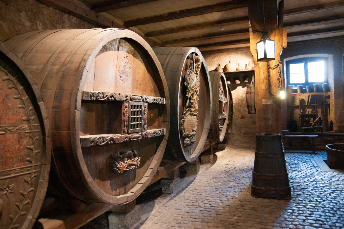 Ophorus Tours - Alsace Wine Discovery Half-Day Vineyard Tour from Strasbourg