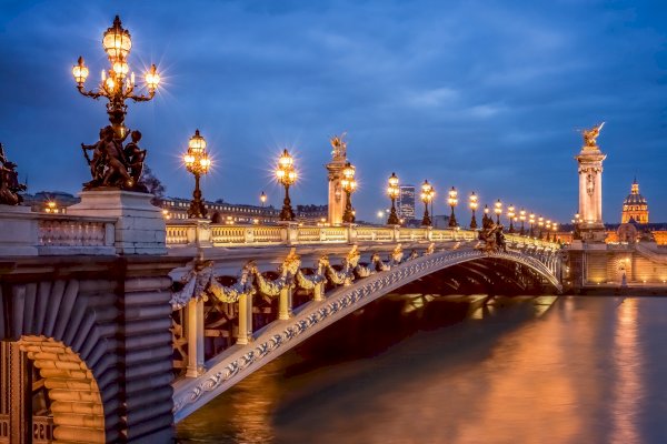 Ophorus Tours - Ultimate Parisian Night: Private Dinner Cruise & Illuminated Landmarks