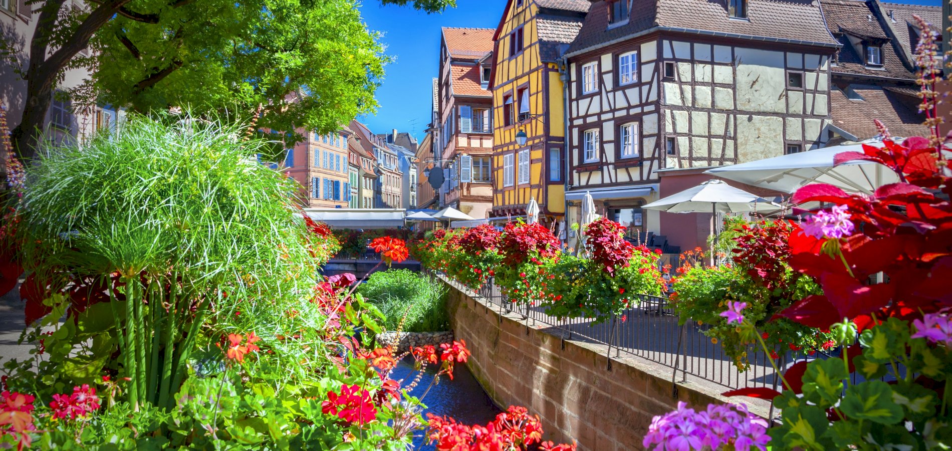 Ophorus Tours - Alsace Day Tour: From Strasbourg to Colmar, Riquewihr & Haut Koenigsbourg