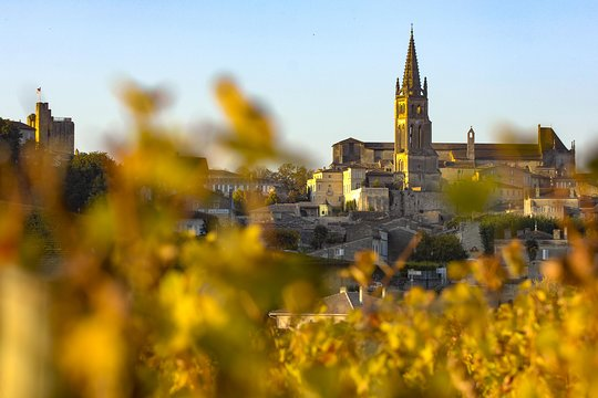 Ophorus Tours - Taste the Best of Bordeaux: Private Saint-Émilion & Médoc Wine Tour