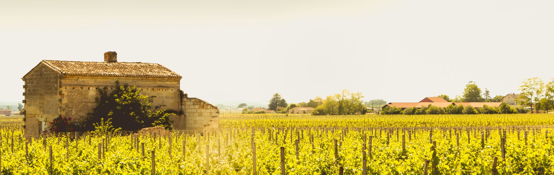Ophorus Tours - Saint Emilion Odyssey Full-Day Bordeaux Wine Tour