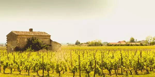 Saint-Émilion Small Group Full-Day Wine Tour from Bordeaux