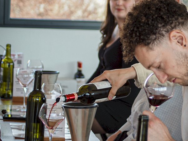 Ophorus Tours - Saint Emilion Odyssey Full Day Bordeaux Wine Tour