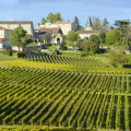 Grand Cru château visit & tasting