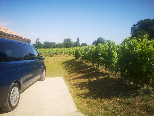 Ophorus Tours - Saint-Émilion Wine Discovery – Half-Day Tour from Bordeaux