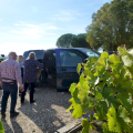 Winery