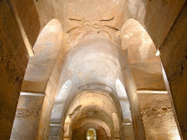 Ophorus Tours - Medieval Saint-Emilion: Private Walking Tour including Monuments