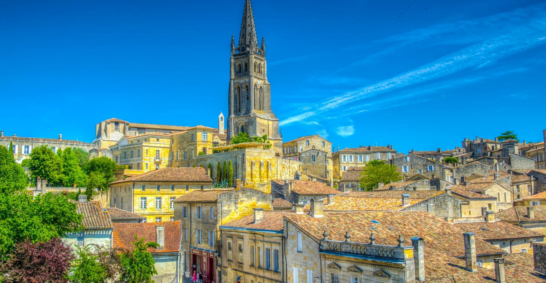 Ophorus Tours - Medieval Saint-Emilion: Private Walking Tour including Monuments