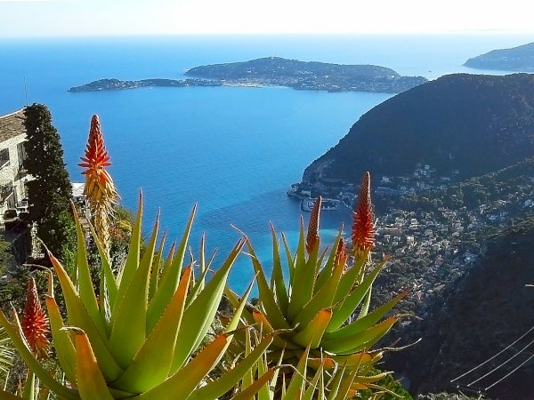 Ophorus Tours - French Riviera Gems: A private Journey from Nice to Antibes