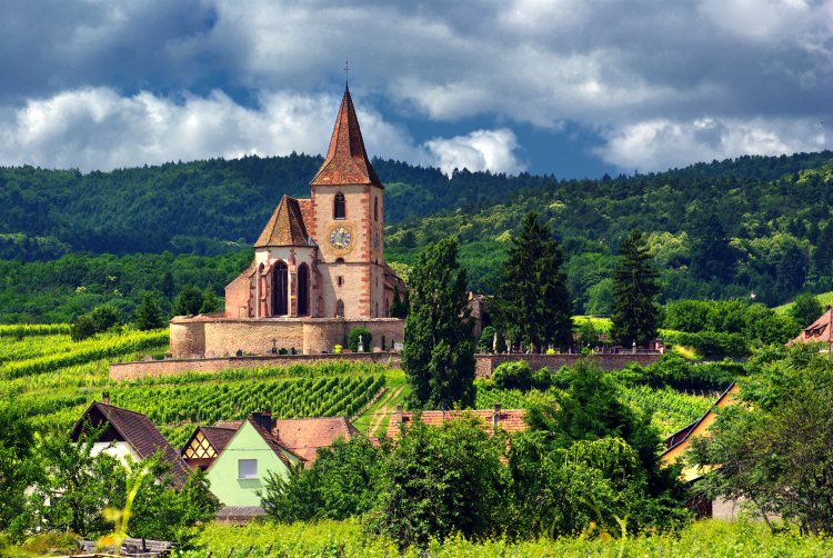 Ophorus Tours - Authentic Alsace Villages tour : A half-day Cultural Experience from Colmar