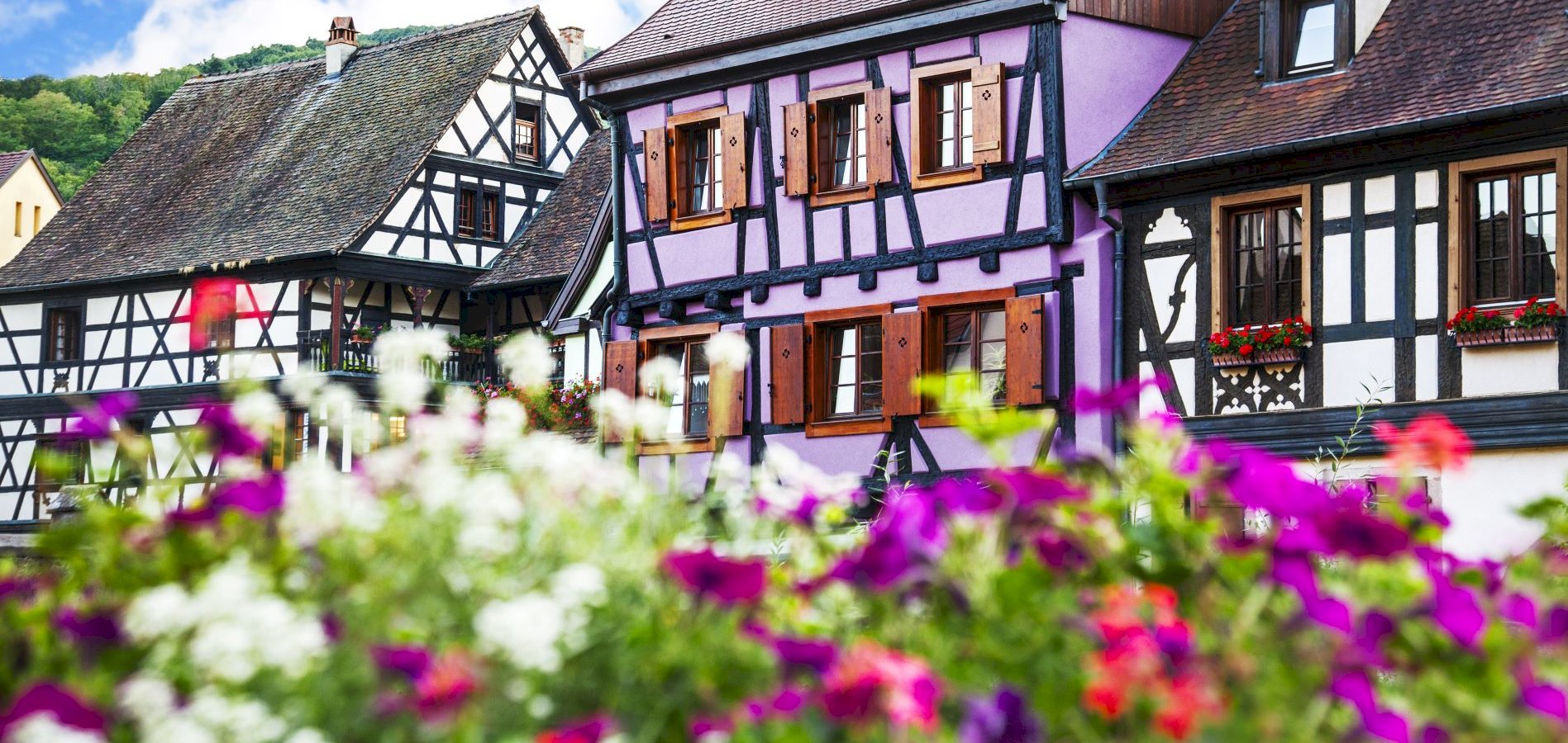 Ophorus Tours - Authentic Alsace Villages tour : A half-day Cultural Experience from Colmar