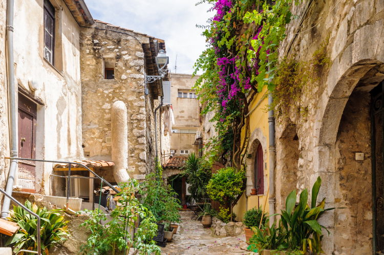 Ophorus Tours - Cannes & Provence villages Small Group Day Trip from Nice