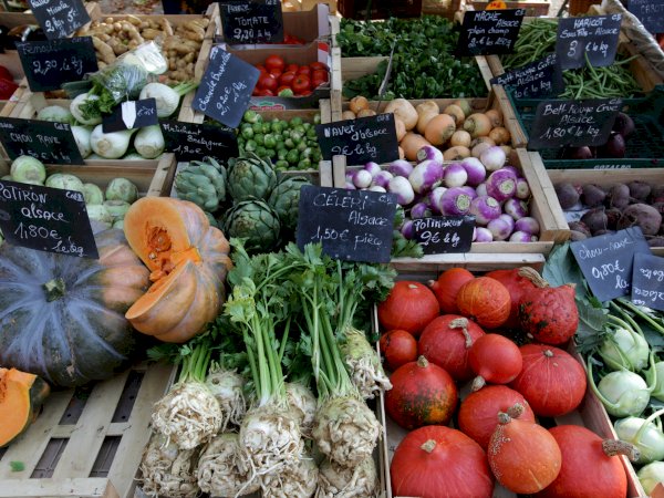 Ophorus Tours - Strasbourg Culinary Delights: Gourmet Food & Wine tour