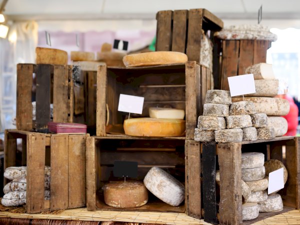 Ophorus Tours - Strasbourg Culinary Delights: Gourmet Food & Wine tour