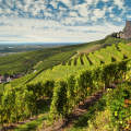 Second winery visit and tasting
