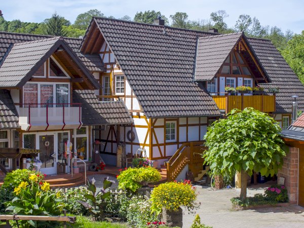 Ophorus Tours - German Baden Wine Tasting Experience private tour from Strasbourg