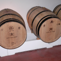 Pessac-Léognan Winery