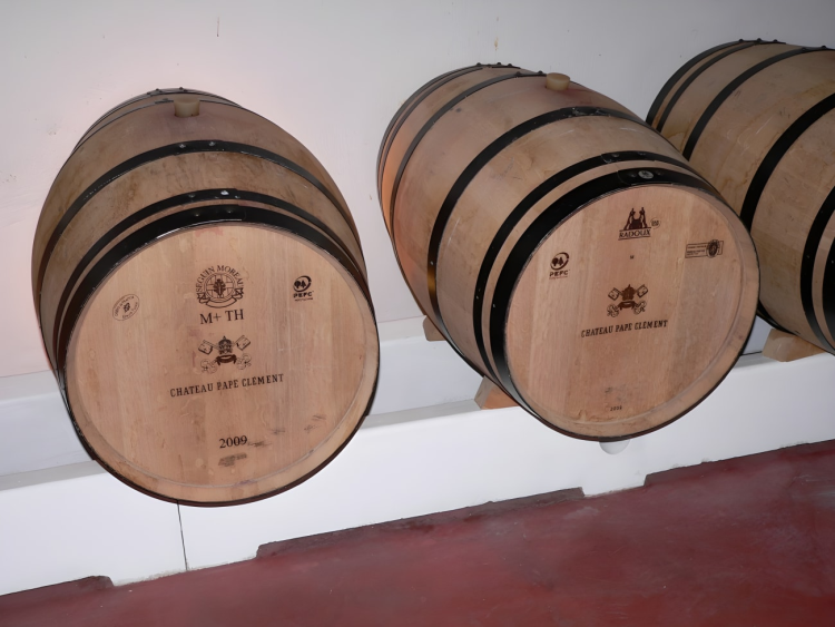 Ophorus Tours - Bordeaux Private Wine Tour: Saint-Émilion, Médoc, and Graves