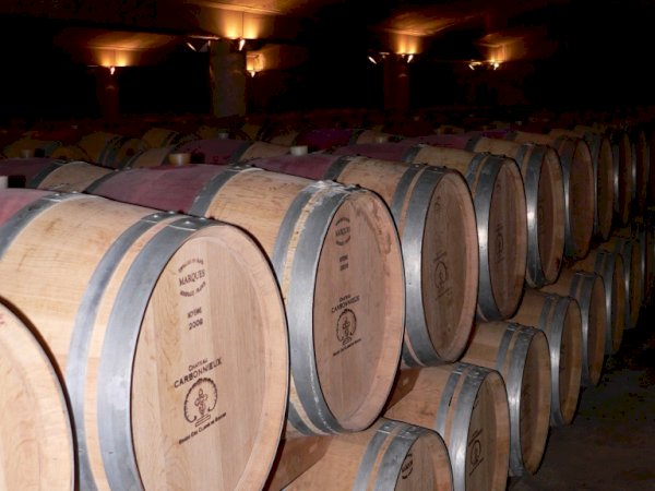 Ophorus Tours - Wine Connoisseur's Dream: Medoc, Saint-Emilion & Graves Private Tour