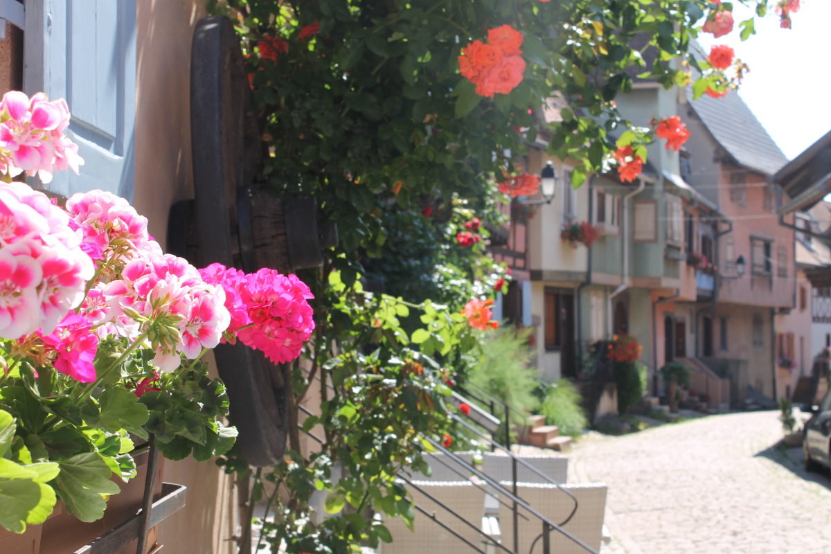 Ophorus Tours - Enchanting Alsace villages Small Group Tour from Strasbourg