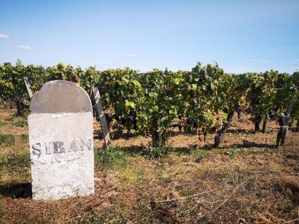 Ophorus Tours - 5-Day Private Grands Crus Bordeaux Wine Tours Package - 4* Hotel