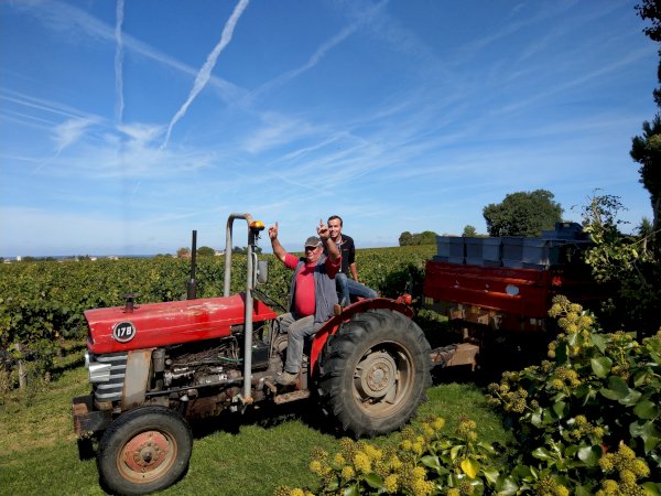 Ophorus Tours - 5-Day Private Grands Crus Bordeaux Wine Tours Package - 4* Hotel