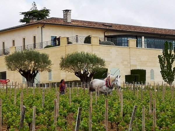 Ophorus Tours - 5-Day Private Grands Crus Bordeaux Wine Tours Package - 4* Hotel