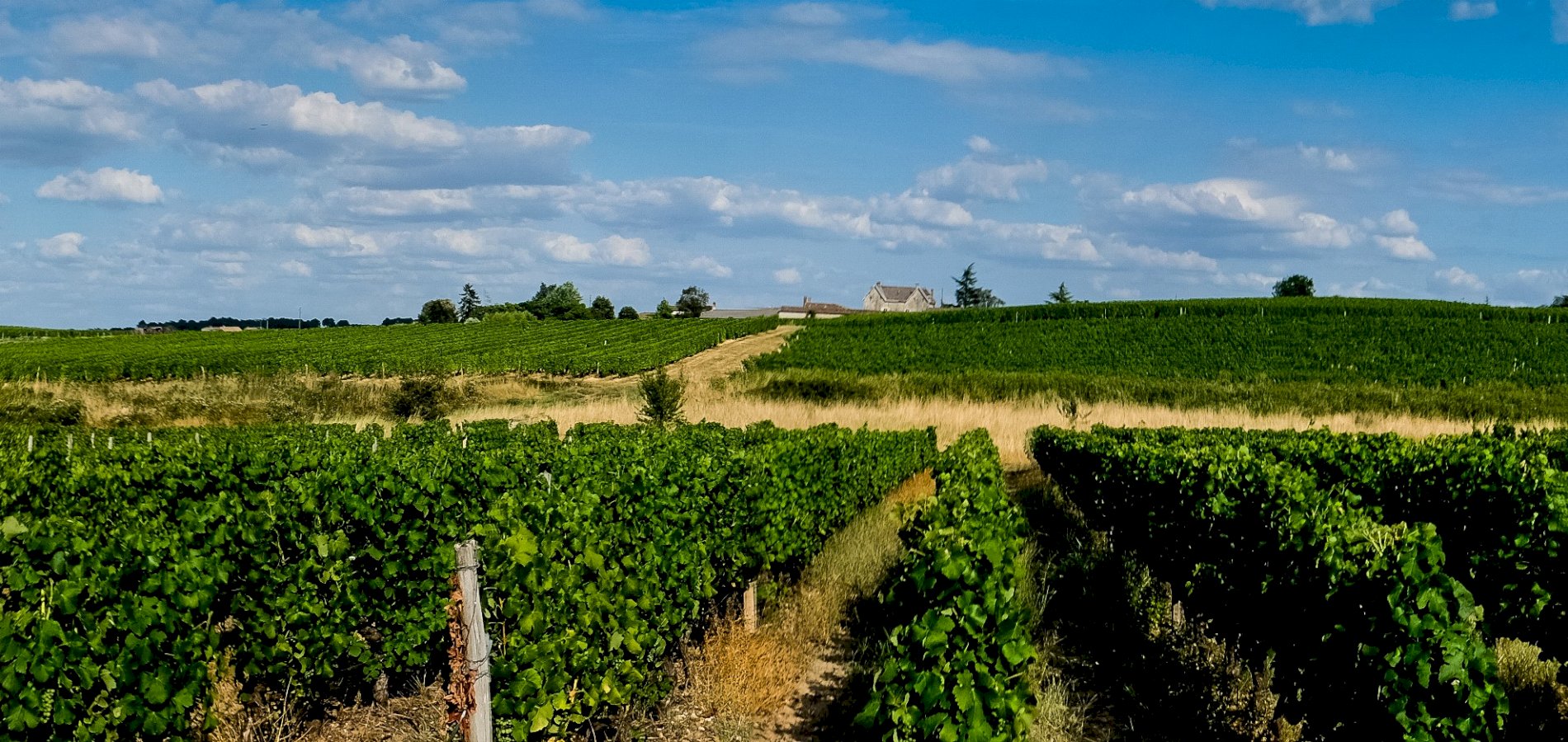 Ophorus Tours - 5-Day Private Grands Crus Bordeaux Wine Tours Package - 4* Hotel