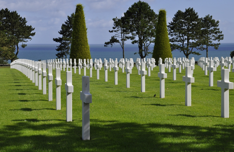 Ophorus Tours - Unforgettable D-Day: Private Shore Excursion from Cherbourg Cruise Port