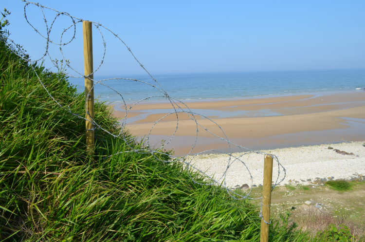 Ophorus Tours - D-Day Tour: Utah & Omaha Beaches, Sainte-Mère-Église & U.S Cemetery