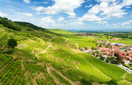 Alsace Wine Tour from Colmar: A full day Vineyard Exploration