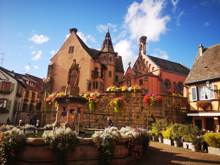 Ophorus Tours - Alsace Villages & Wines Private Half-Day Tour from Colmar