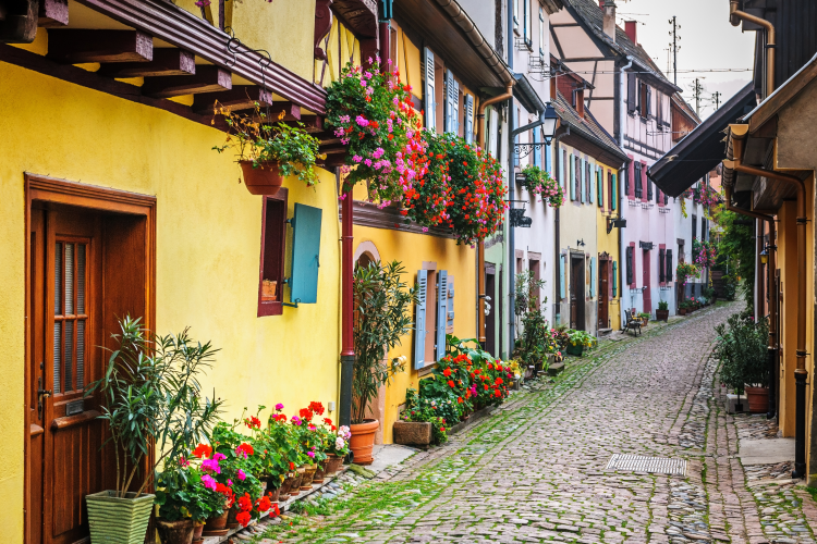 Ophorus Tours - Alsace Villages & Wines Private Half-Day Tour from Colmar