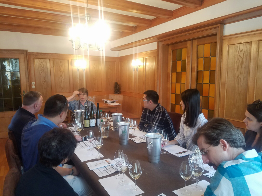 Ophorus Tours - Alsace Wine Tour from Colmar: A half-day Vineyard Excursion