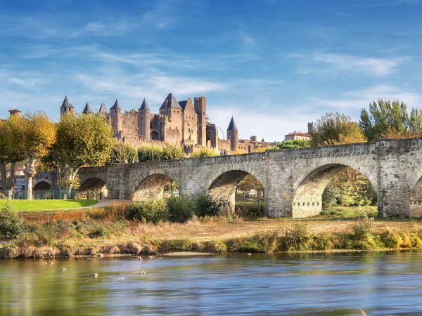Ophorus Tours - From Port Vendres Port to Carcassonne & Languedoc Wine Tour private