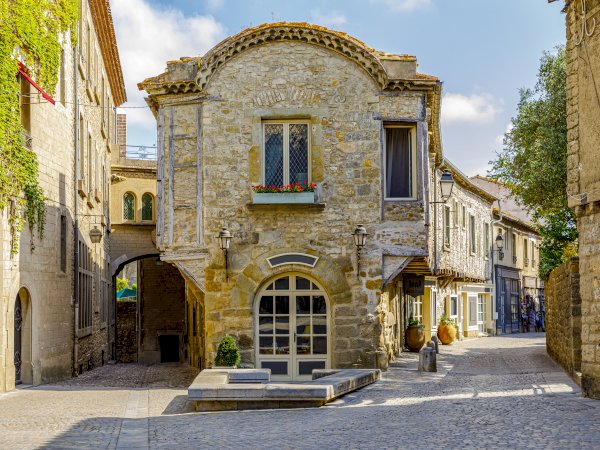 Ophorus Tours - From Port Vendres Port to Carcassonne & Languedoc Wine Tour private