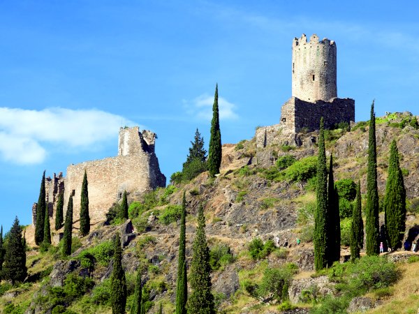 Ophorus Tours - From Port Vendres Port to Carcassonne & Languedoc Wine Tour private