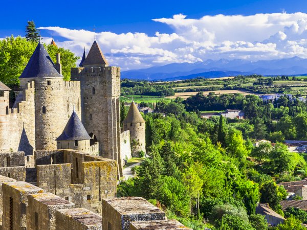Ophorus Tours - From Port Vendres Port to Carcassonne & Languedoc Wine Tour private