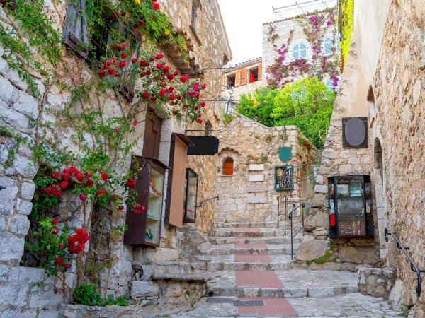 Ophorus Tours - From Villefranche to Eze, Monaco & Monte Carlo half-day private