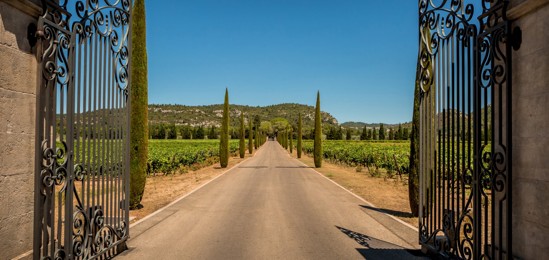 Ophorus Tours - Provence Wines: Private Shore Excursion from Cannes 