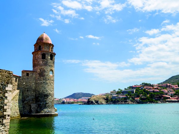 Ophorus Tours - From Port Vendres Port to Collioure village & Languedoc Wine Tour private