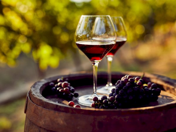 Ophorus Tours - From Sète Port Languedoc Wine Tour Shore Excursion private