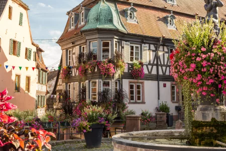Alsace Grands Crus Private Wine Tour from Colmar