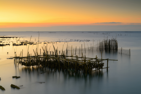 Ophorus Tours - Arcachon Bay Discovery Private Full Day Tour From Bordeaux