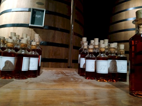 Ophorus Tours - Bordeaux to Cognac: Explore Brandy Country - Private Transfer